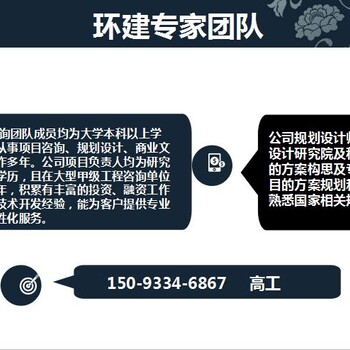 融水资深公司做报告-做可行性研究报告机构