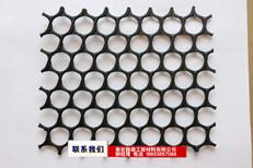今年价格单向拉伸高密度聚乙烯土工格栅-高分子-三维土工网垫图片1
