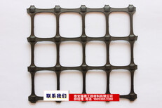 贵州玻璃纤维土工格栅-不透水-玻璃纤维土工格栅厂家图片1