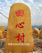 漳州景观石,漳州大型黄腊石批发图片