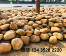 供应景观石,苏州景观石,江苏园林造景黄蜡石图片