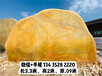 陕西观赏景观石,西安大型黄蜡石,景观园艺石