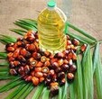 埃塞俄比亚油棕仁进口报关国家有哪些要求图片