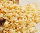 想进口巴基斯坦糙米对经营进口的外贸公司有什么要求