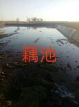 厂家HDPE膜/高密度聚乙烯土工膜/隧道土工膜/油库土工膜/光面糙面土工膜图片1