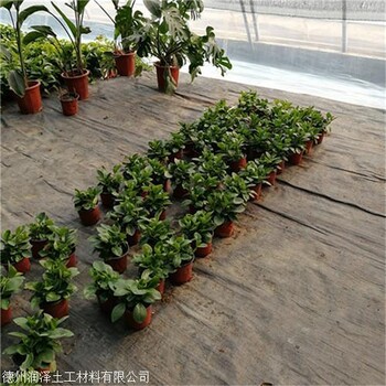 潤(rùn)澤廠家現(xiàn)貨石家莊園藝地布果園防草布