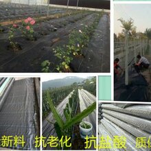一次性平面地毯条纹地毯价格覆膜地毯厂家拉绒地毯批发图片