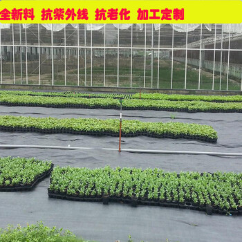 润泽销往全国各地防草布除草布抑草布园艺地布价格实惠规格