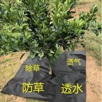 德州润泽园艺地布 遮草布,资阳防草布批发代理