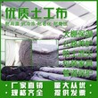 广东土工布毛毡公路养护长丝土工布复合土工布大棚保温黑心棉图片