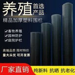 黑龙江大庆双向塑料土工格栅双向塑料土工格栅价格土工格栅厂家图片5