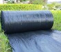 德州润泽厂家供黑色保湿透气防草布定制园艺地布