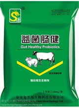 泰安龙升源益菌肠健的抗病毒机理图片