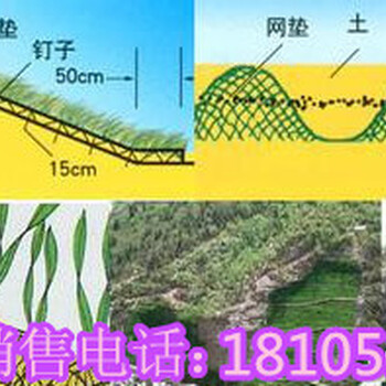 EVA防水板图片_怀化厂家