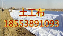 益阳土工布价格图片5