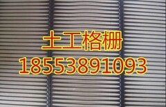 欢迎光临玉溪土工格栅价格股份有限公司集团欢迎您图片4