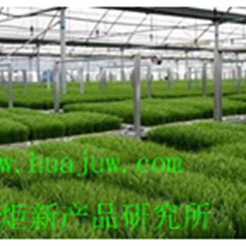 水稻增溫劑華炬新產(chǎn)品研究所