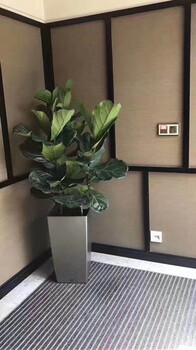 花卉綠植盆栽、租賃寫字樓、企事業(yè)單位植物租賃