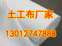 天津聚酯长丝土工布。有限公司图片0