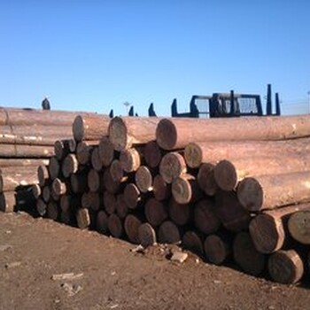 上海进口乌拉圭木材清关有哪些手续费用