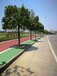 新型路用材料油漆式彩色路面路表喷涂剂