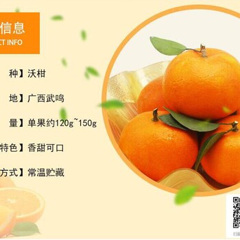 武鸣沃柑——广西又一特色水果品牌