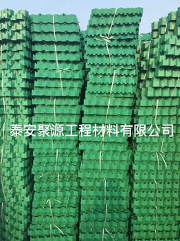 安庆塑料植草格生产厂家