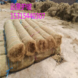 淮北厂家直供植物纤维毯河道护坡材料椰丝毯高速护坡材料图片5