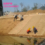 淮北厂家直供植物纤维毯河道护坡材料椰丝毯高速护坡材料图片4