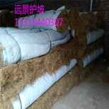 淮北厂家直供植物纤维毯河道护坡材料椰丝毯高速护坡材料图片3