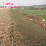淮北厂家直供植物纤维毯河道护坡材料椰丝毯高速护坡材料图片0