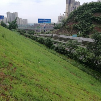 北海植物纤维毯厂家北海植生毯价格