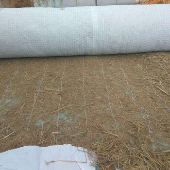 抗冲生态毯厂家加筋植生毯土工布直供深圳支持抗击