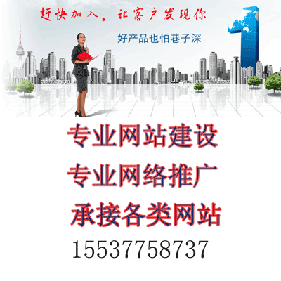 内乡网站建设网络推广网吧维护电脑维修安防监控网络公司
