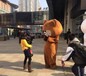 济宁同城网红熊布朗熊派发宣传单