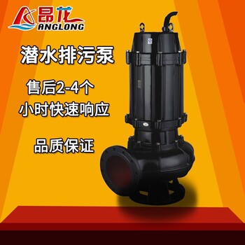 昂龙WQ污水泵家用地下室排污泵无堵塞潜污泵工程矿地潜水排污泵