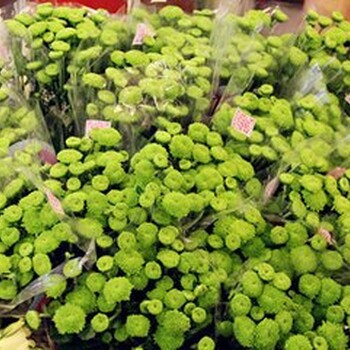 上海进口法国鲜花是如何运到国内销售的