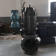 日照泵站式安裝潛污泵安全可靠圖片