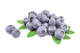 阿根廷鲜食蓝莓进口上海海关有什么要求