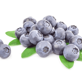 阿根廷鲜食蓝莓进口上海海关有什么要求