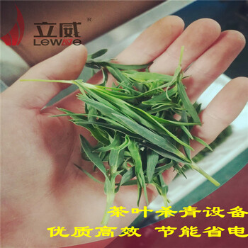 杀青茶叶用的机器#茶叶杀青机设备