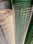 鑫耐丝网公司钢丝网,热镀锌电焊网价格图片0