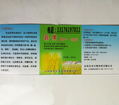 贵州蒜黄增产一喷灵叶面喷施肥批发销售蒜黄专用