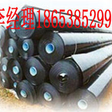 甘肃HDPE土工膜厂家图片