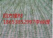 泰安四方建材批发雅安椰丝毯可根据客户要求订货低价