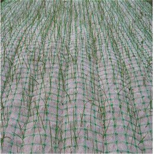 泰安四方建材厂家批发椰丝毯，全新材料，质量优，价格实在