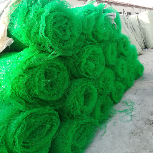 柳州塑料土工网厂家销售报价