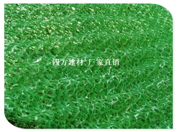 锦州塑料土工网厂家