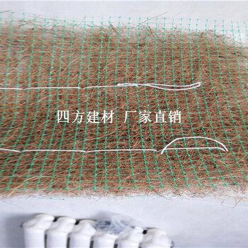 资讯-四川广安生态草毯施工方案