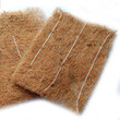 椰丝纤维毯绿化效果图片